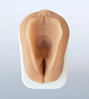 Obstetrics Anal Sphincter Injury Suturing Model ~ DISCONTINUED